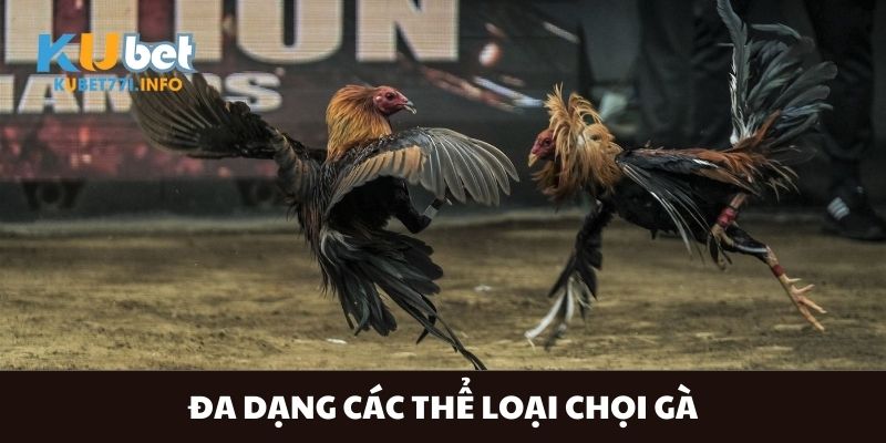 da-dang-cac-the-loai-choi-ga-cuc-hap-dan